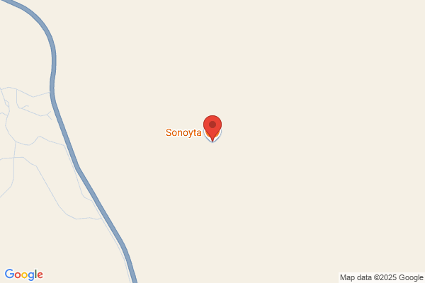 SONORANA