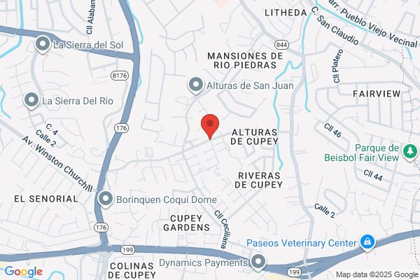 C CLAUDIO DOMINICCI & ASSOC