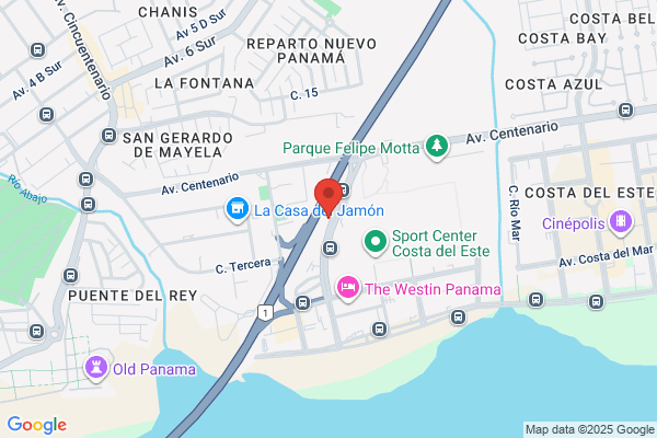 PLAZA DEL ESTE INC