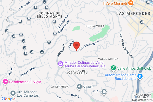 COLEGIO DRA WILMA CHAVES INC