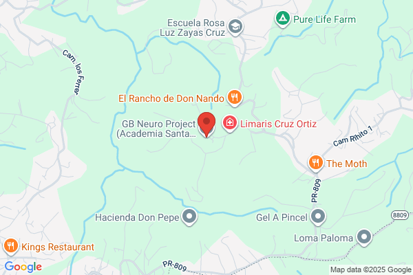 ACADEMIA SANTA TERESITA