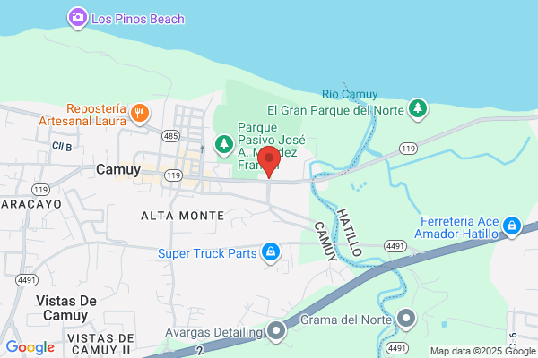 CAMUY SERVICE STATION