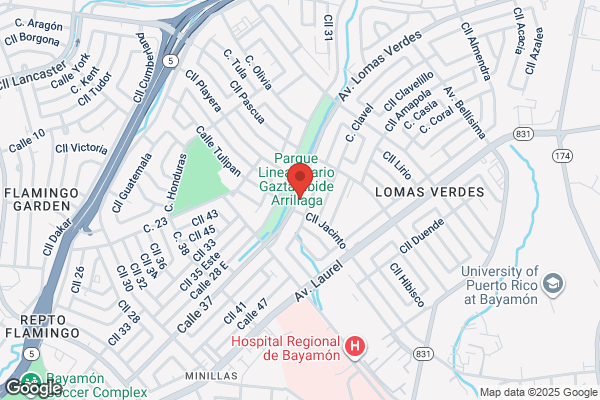CENTRO GOMAS LUIS