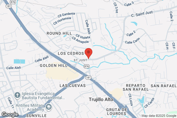 CLINICA VETERINARIA-TRUJILLO