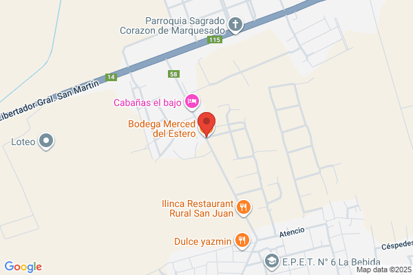 EMILIA RODAS VINAS