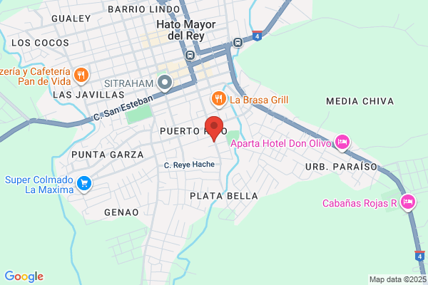 CLUB DE LEONES DE HATO REY