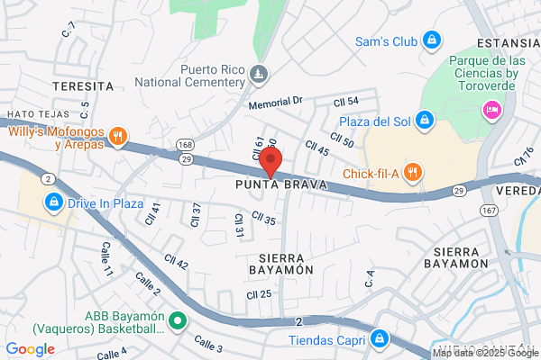 SIERRA BAYAMON AUTO PARTS