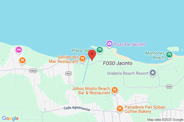 SURWAGEN DE PUERTO RICO