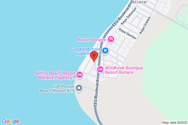 Tropical Car Rental