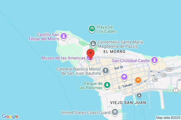 ACADEMIA PUERTORRIQUENA