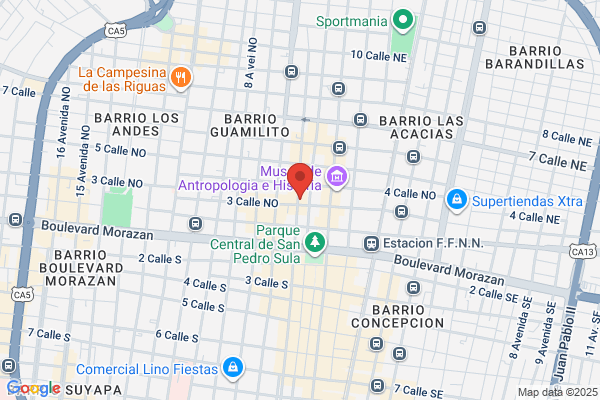 INSTITUTO NACIONAL-RENOVACION