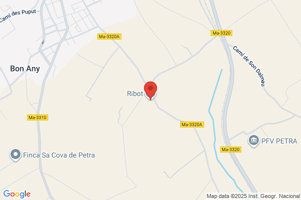 Walter Ribot & Asocs