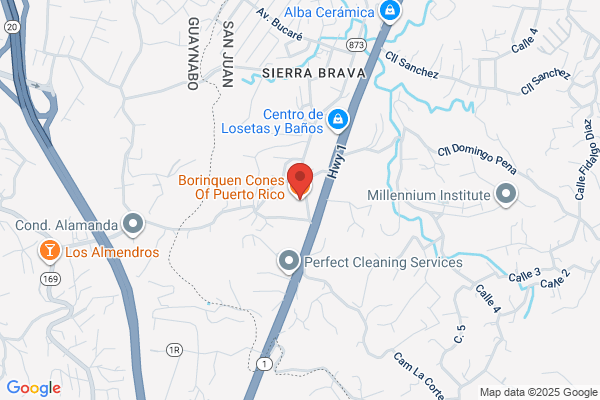 BORINQUEN DELI & ICE CREAM