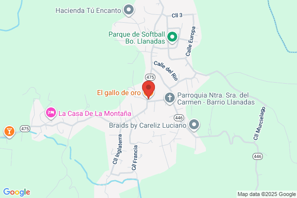 EL GALLO DE ORO INC
