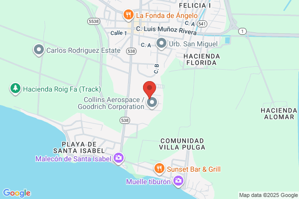 FELICIA DISTRIBUTION INC
