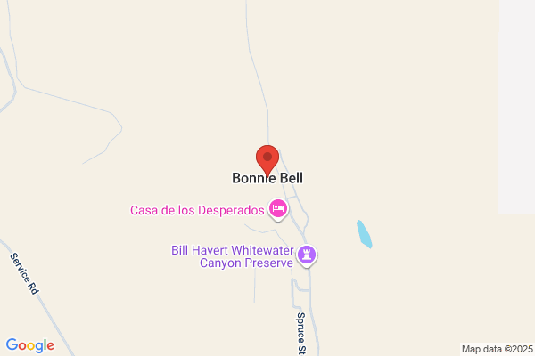 BONNIE BELL INC