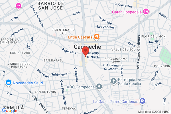 INSTITUTO DIDACTICO LENGUAJE