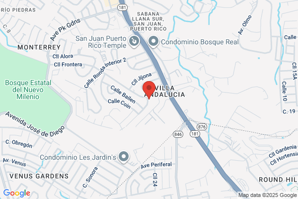 BORINQUEN OXYGEN SVC CORP