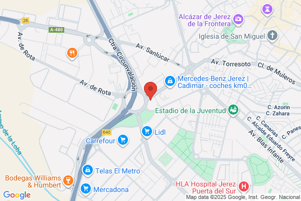 CONSULTORES EN SALUD MENTAL