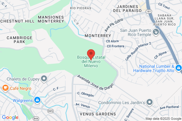 JESUS M BOSQUE PHD