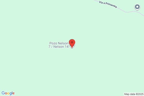 POZO NELSON