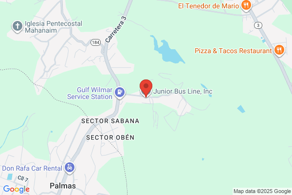 PUERTO RICO LINE INC