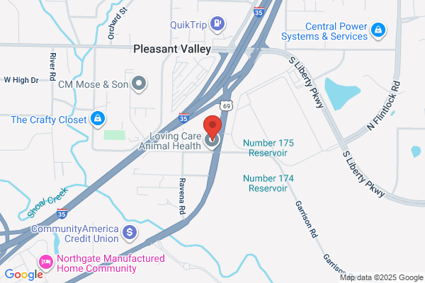FRANK'S TOWING & AUTO BODY