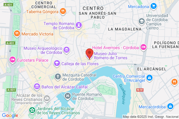 Torres Romero Luz E