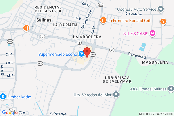 AUTO PIEZAS SALINAS INC