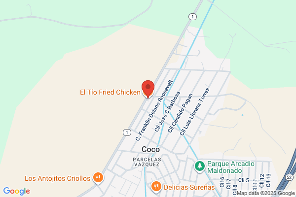 EL TIO FRIED CHICKEN