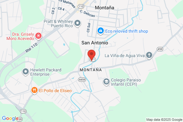 FRANCISCO GUEVARA DOMENE DDS
