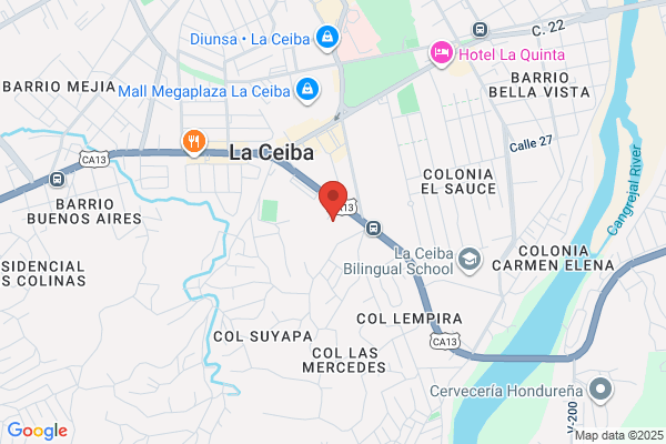 COLEGIO BILINGUE THE LIGHT
