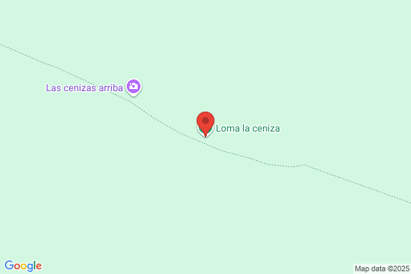 LA CENIZA