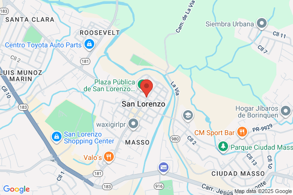 IVALDO L TORRES RIVERA DDS