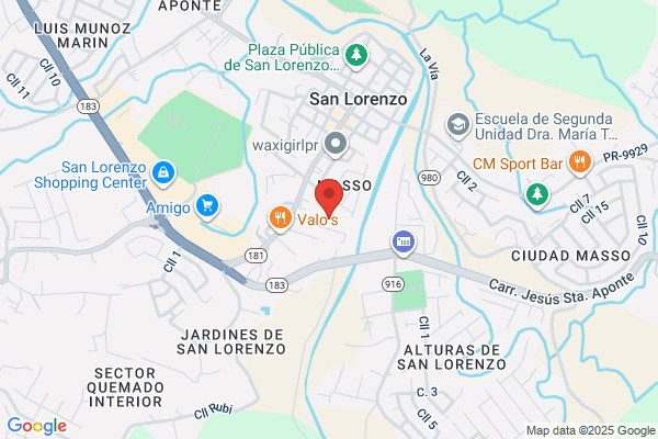 GURABO COMMUNITY HEALTH CTR