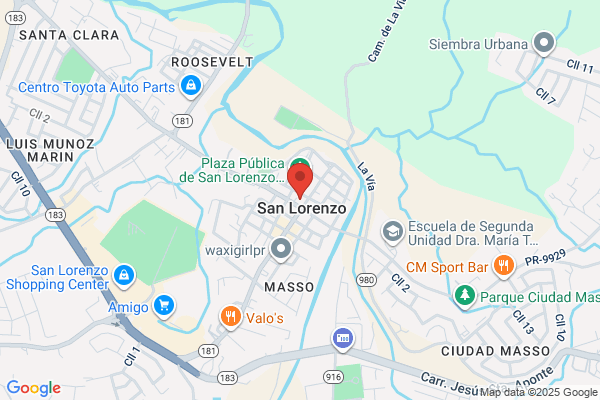 LABORATORIO CLINICO BORINQUEN