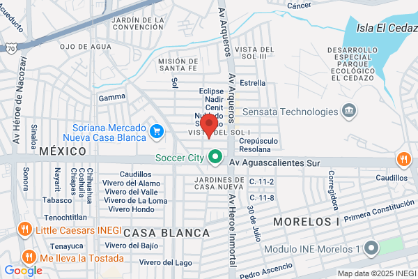 CENTRO DE SERVICIO FRANCO