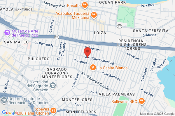 CARMEN SANTIAGO GROCERY