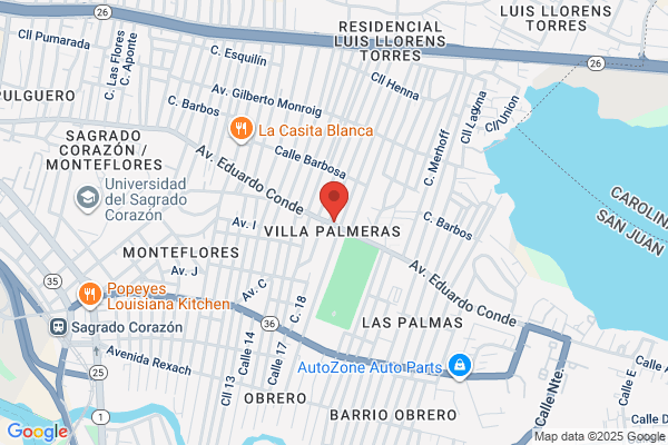 COLMADO PROVIDENCIA