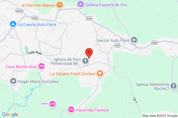CESAR AUTO REPAIRS
