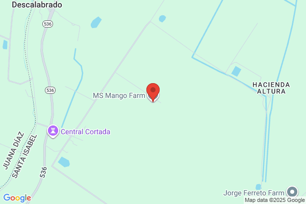 MANGO SEED ENTERPRISES