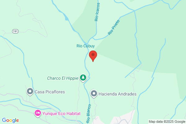 123 CORP NAGUABO