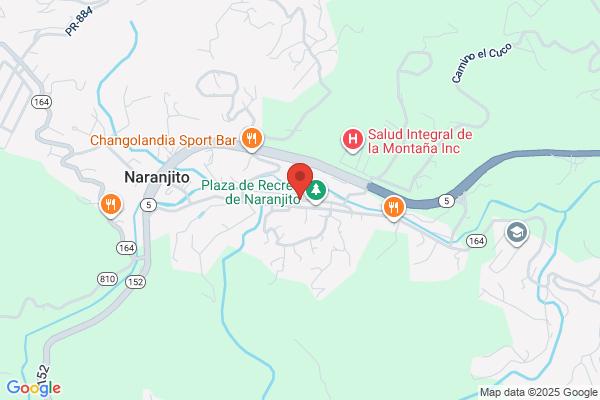 123 CORP NARANJITO