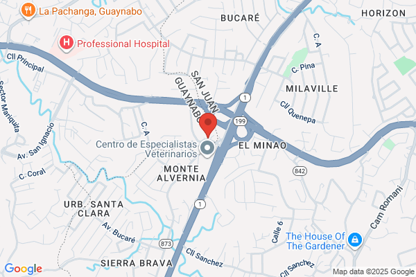 Bavaria Motor Services Inc