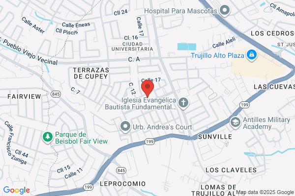 AIA CAPITULO DE PUERTO RICO