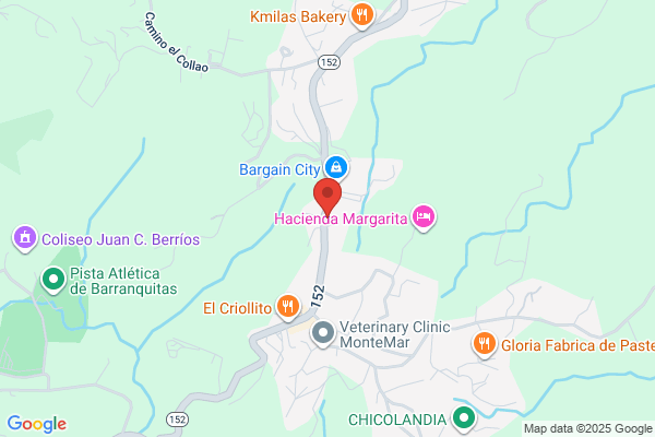 BARRANQUITAS AUTO CORP