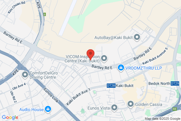 COCHE MOTORS INC