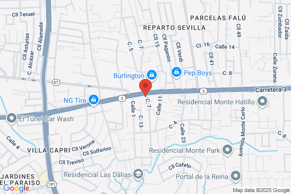 DOMINGUEZ AUTO SALES INC