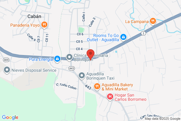 AGUADILLA BODY PARTS