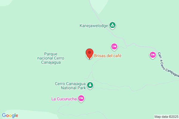CAFE BRISAS DEL CIBUCO